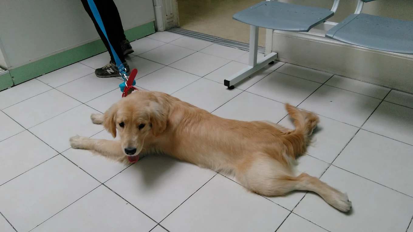 Foto secundaria de Clínica Veterinaria Barracas