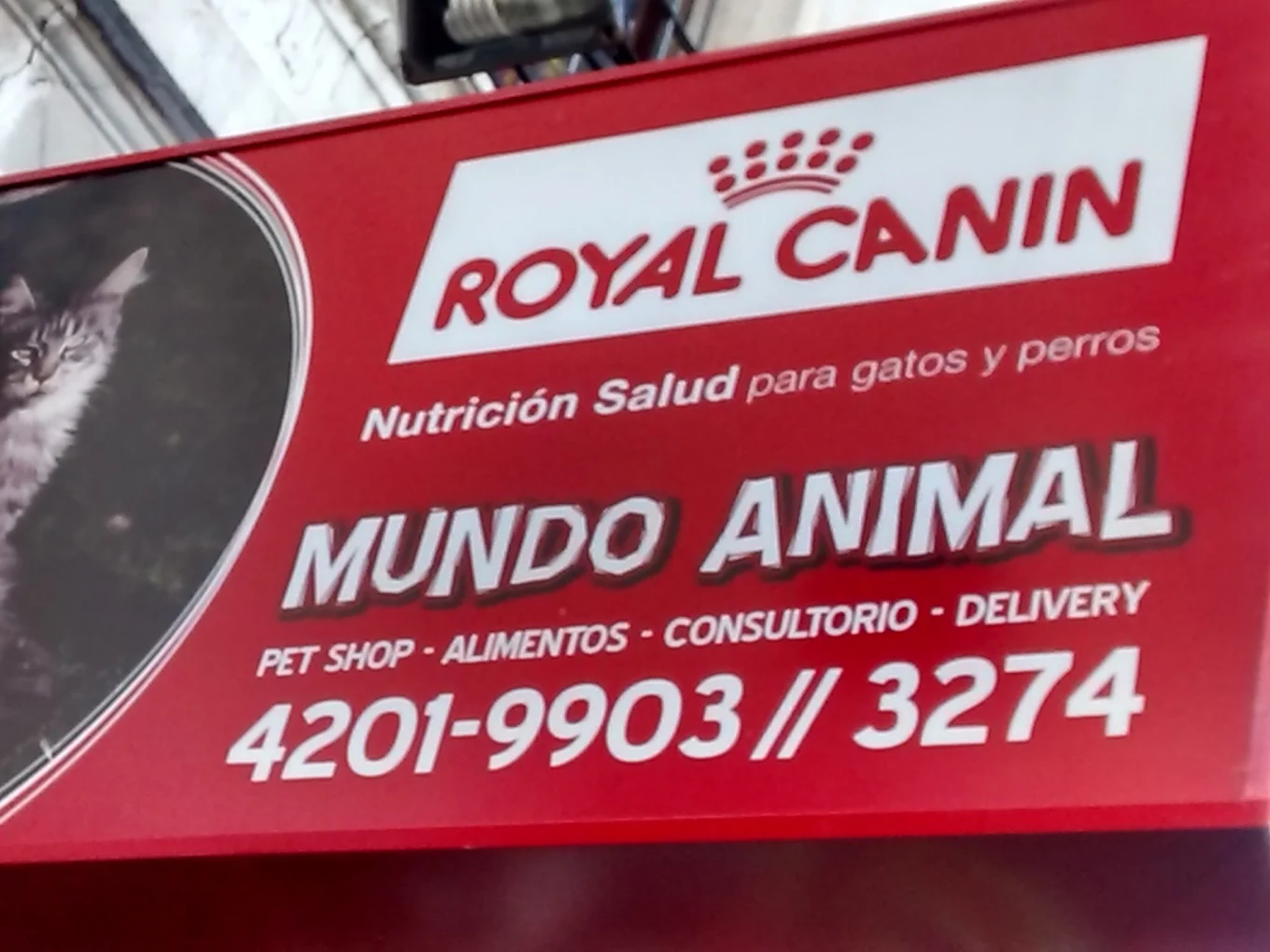 Foto secundaria de Mundo Animal