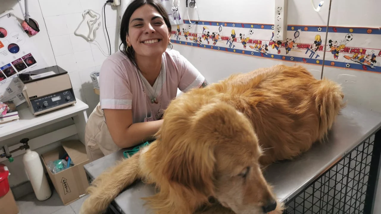Foto secundaria de Centro Veterinario Avellaneda