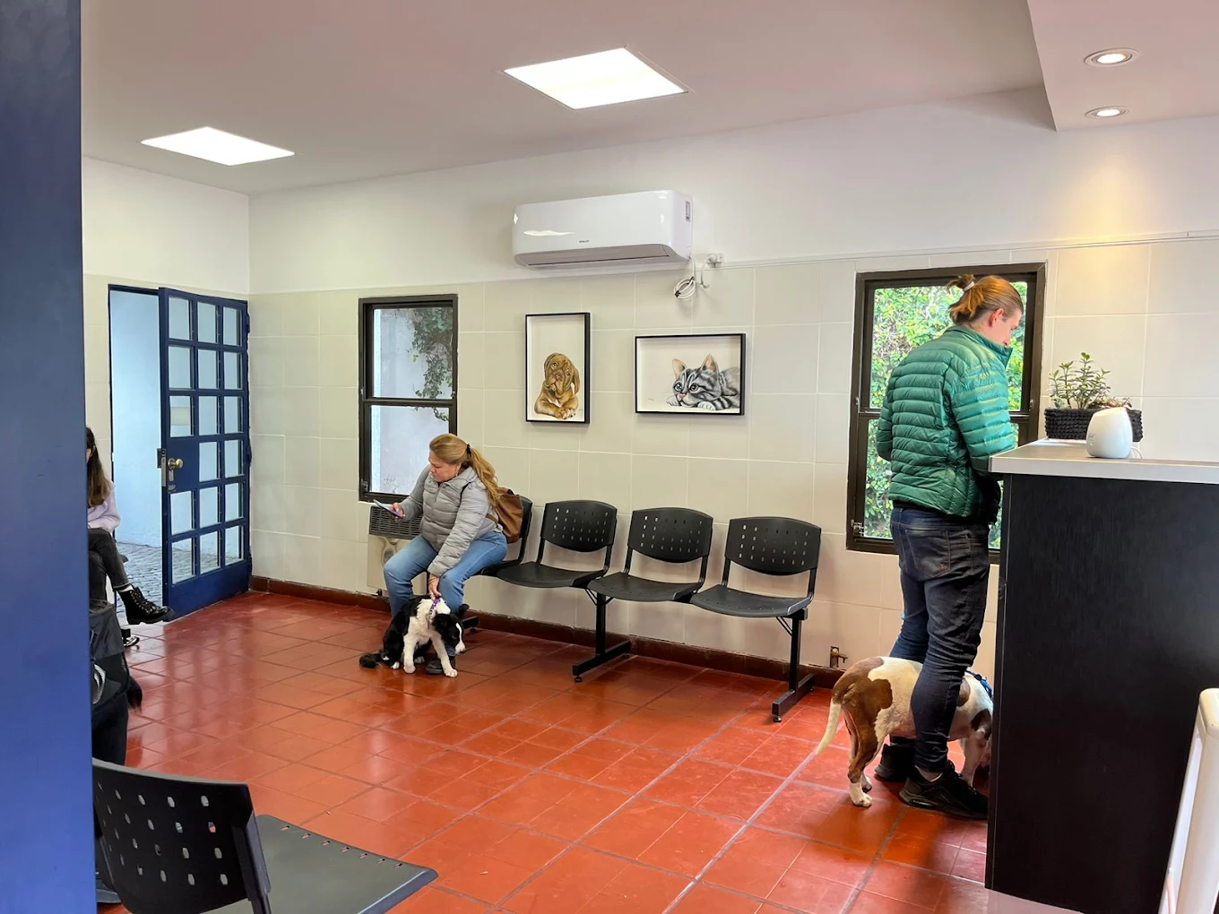 Foto secundaria de CVO Centro Veterinario Olivos